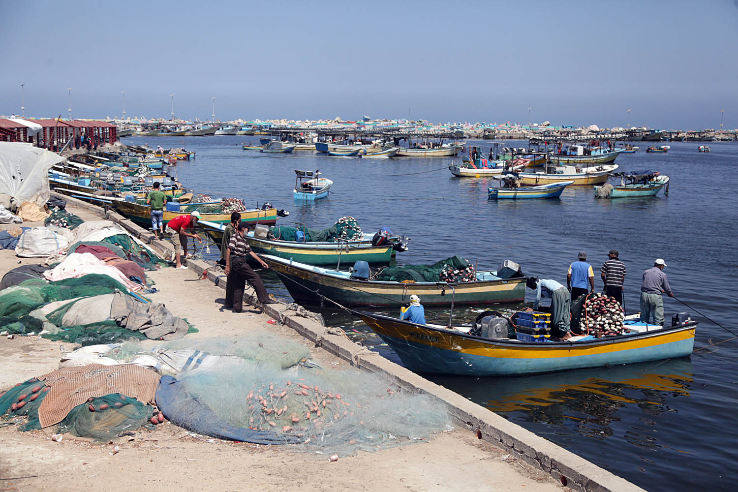 اسماك غزة بعد دخول الصيادين 9 اميال في البحر